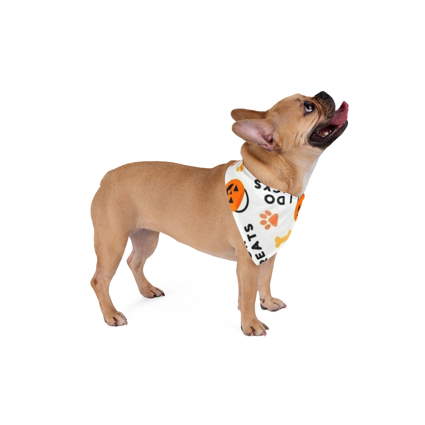 Halloween Pet Bandana, Dog Costume Accessory for Trick-or-Treating, Festive Pet Apparel, Halloween Dog Bandana, Fall Pet Gear
