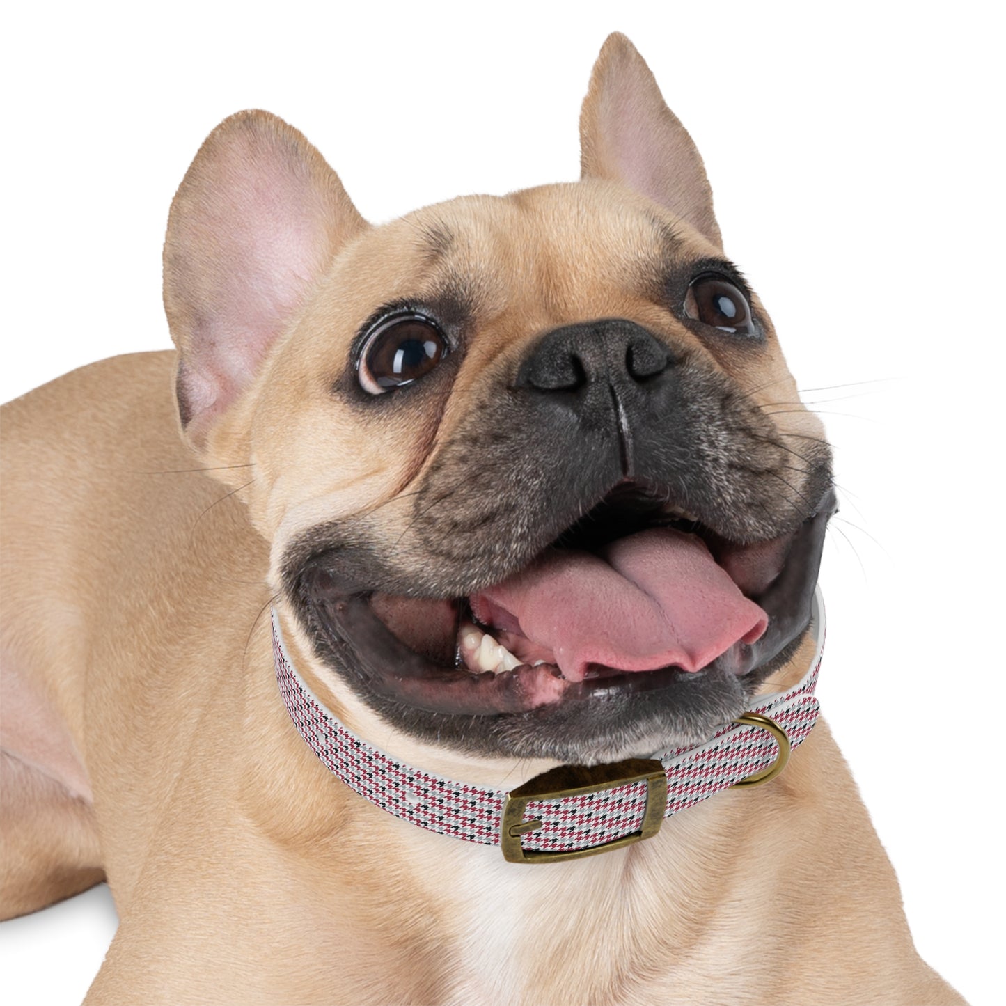 Dog Collar - Houndstooth Style