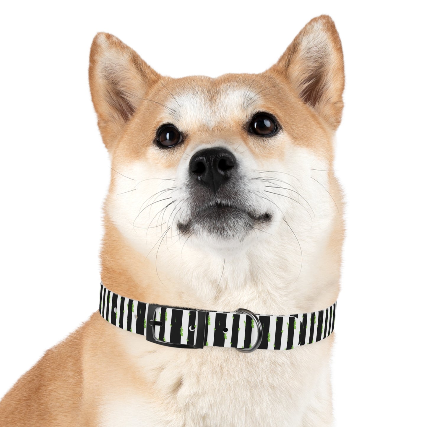 Beetlejuice Style Dog Collar