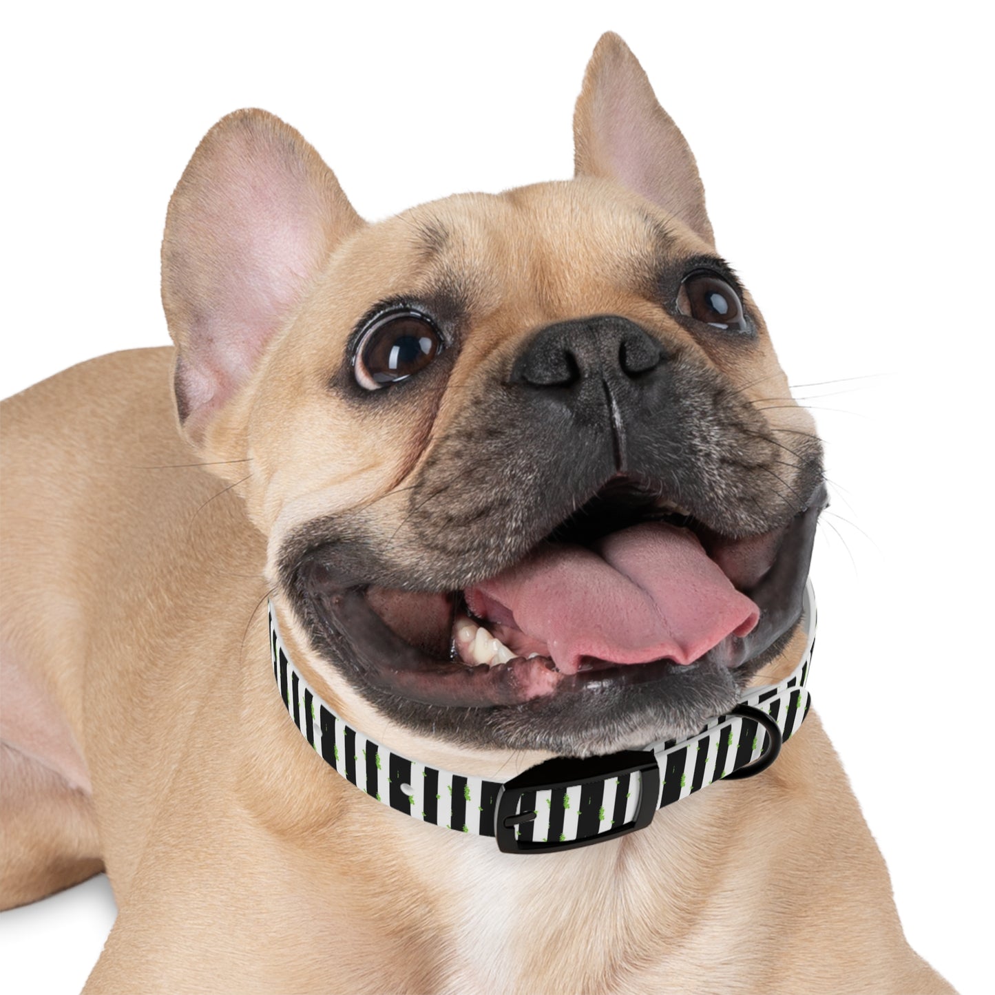 Beetlejuice Style Dog Collar
