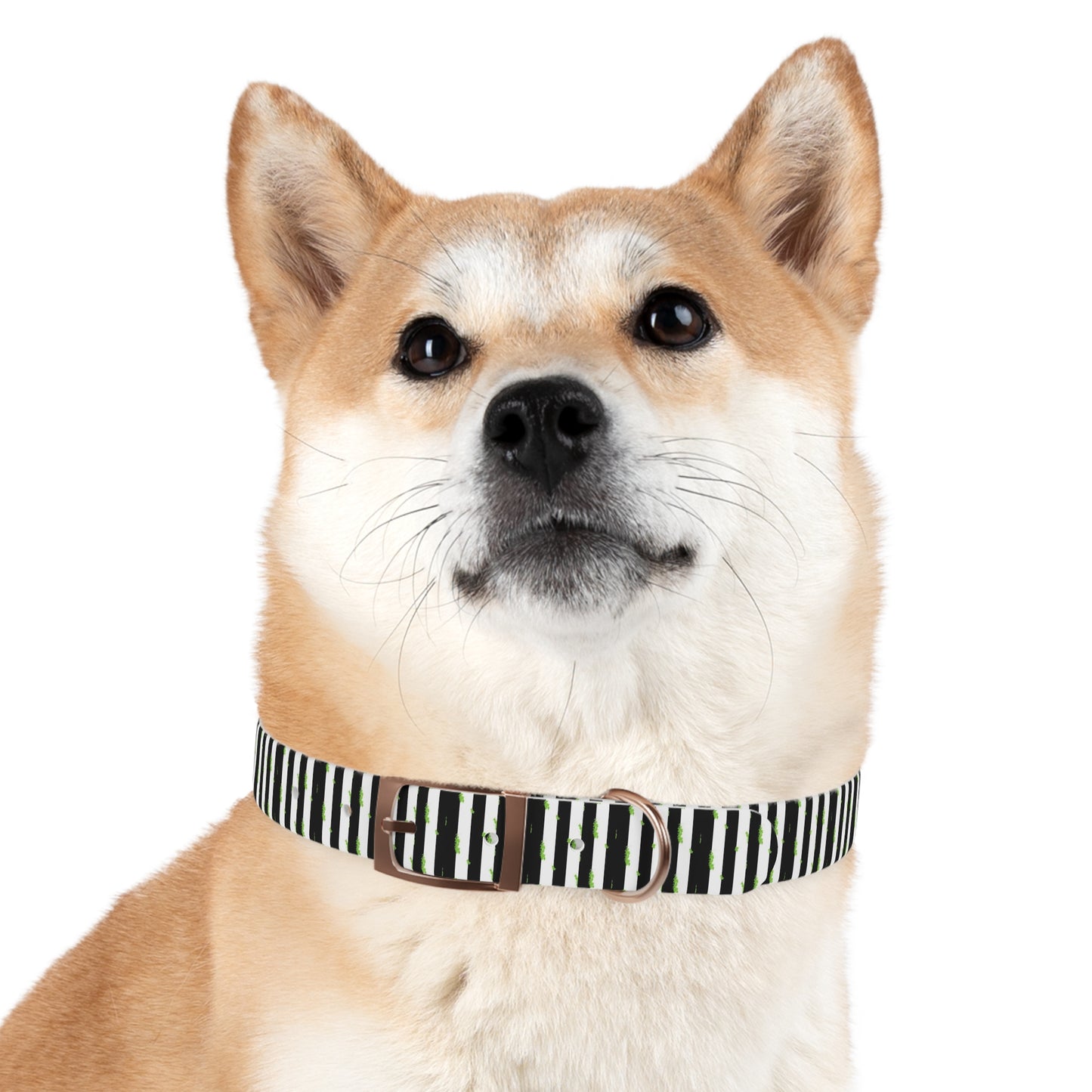 Beetlejuice Style Dog Collar