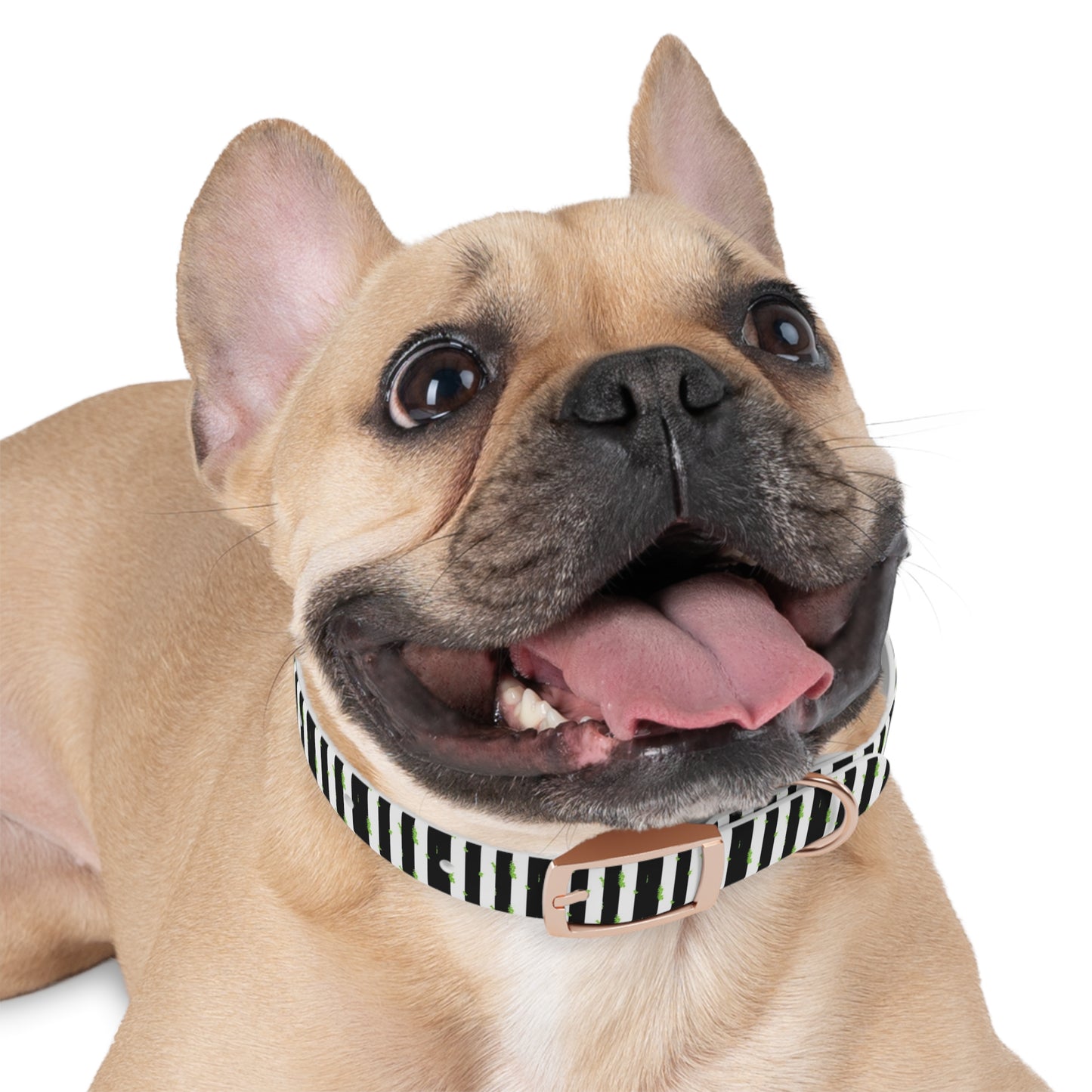 Beetlejuice Style Dog Collar