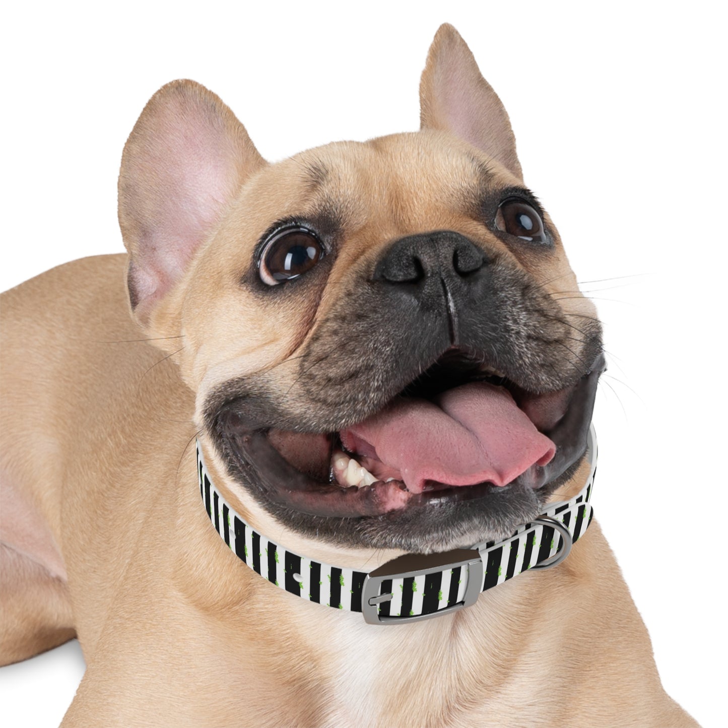 Beetlejuice Style Dog Collar