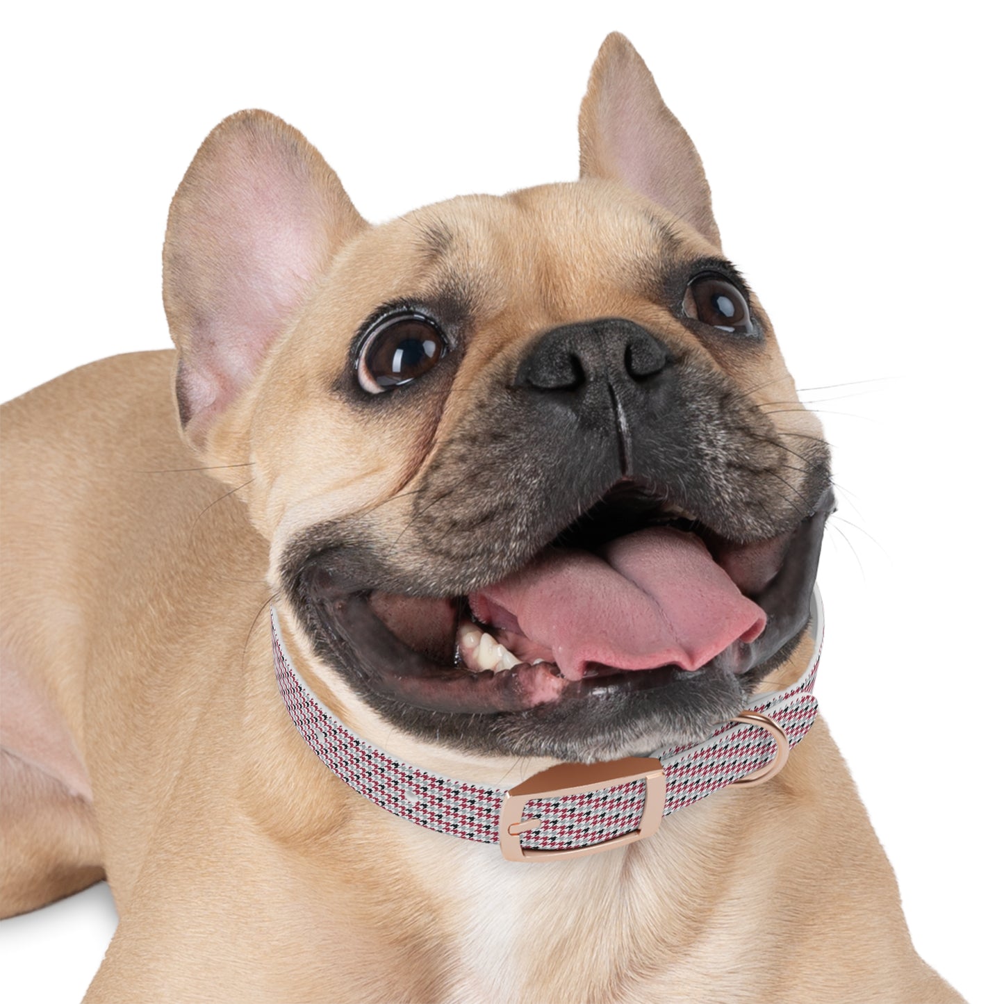 Dog Collar - Houndstooth Style